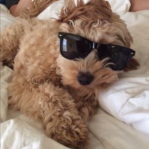 Meet your Posher, Carrie